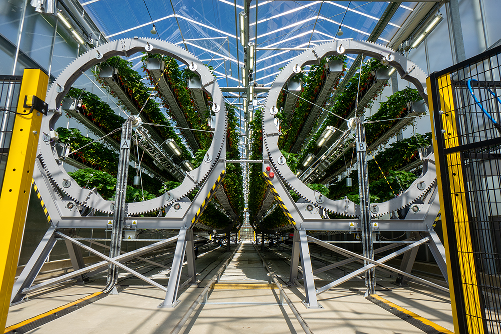 Dyson's Hybrid Vertical Growing System (HVGS)