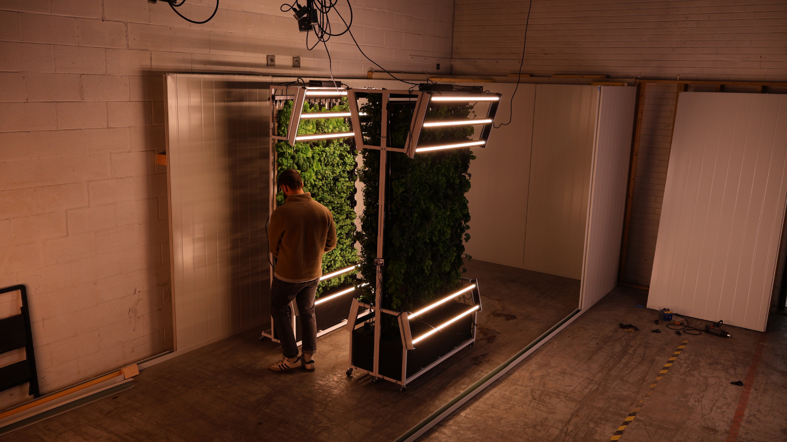 Wide shot of an employee checking crops growing on tall, multi-tier vertical farm racks outfitted with bright LED lighting inside Just Vertical's indoor facility.