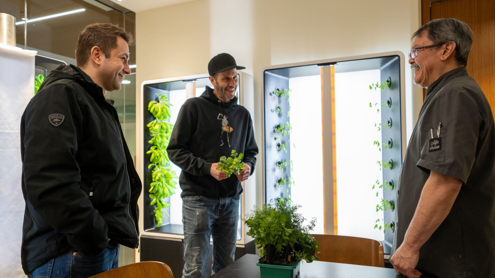 Fresh produce being picked from Just Vertical's AEVA Grow Tower.