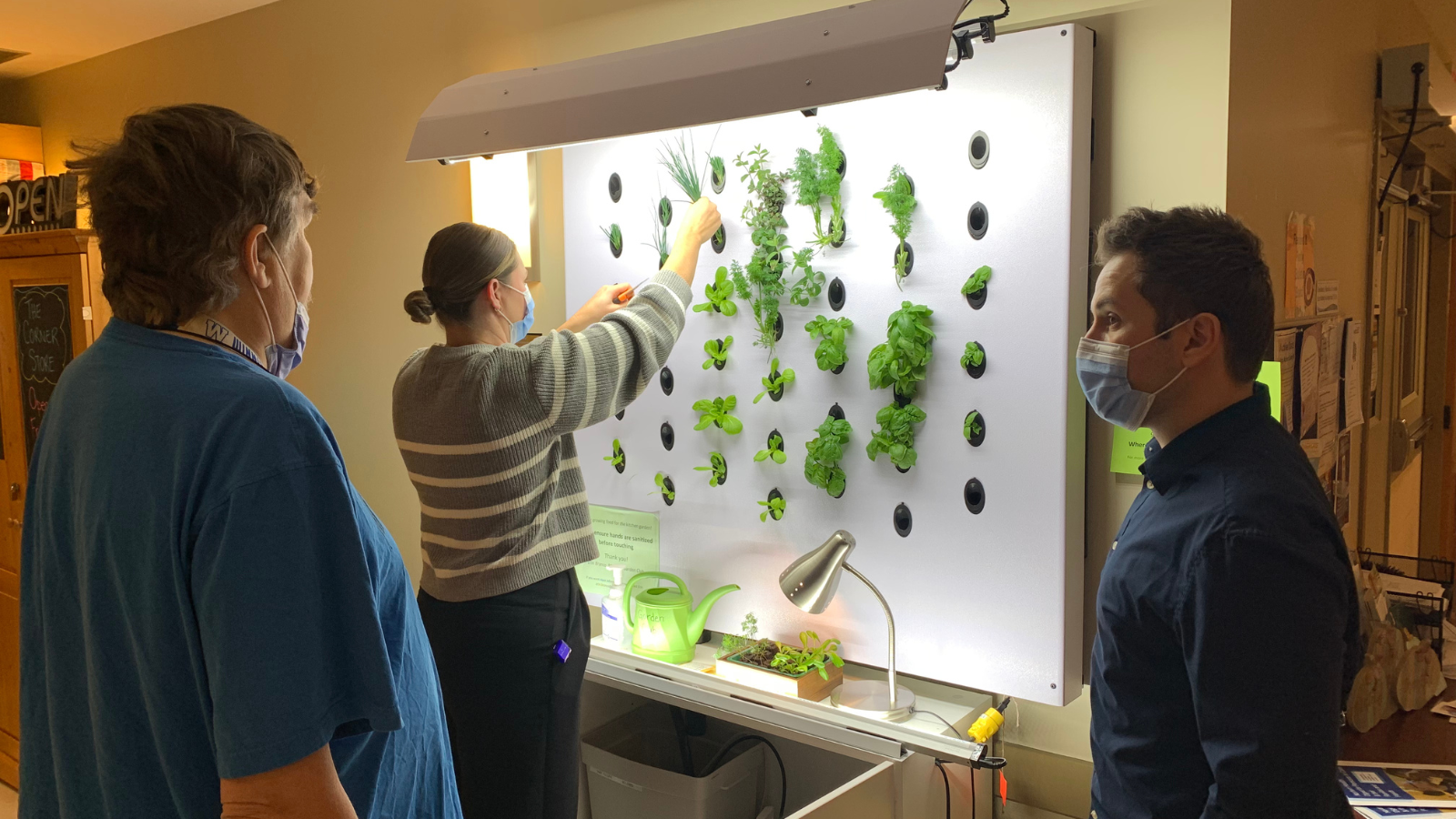 Three people wearing face masks examining an indoor wall-mounted hydroponic garden unit.
