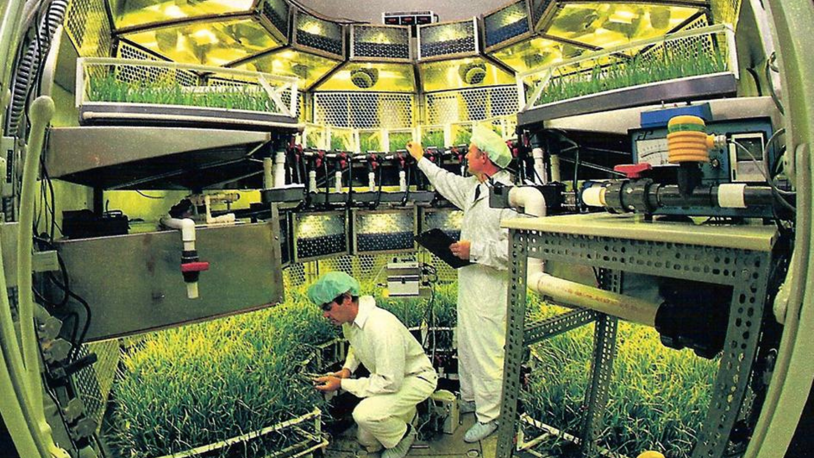 Bill Knott, left, and Tim Dreschel examine the growth of crops in the Biomass Production Chamber at Kennedy